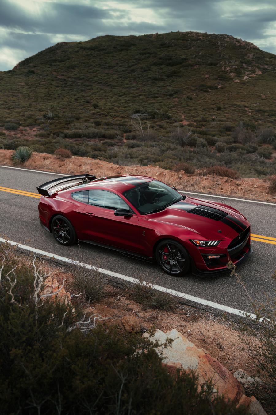  Ford Mustang Shelby GT500 2019 года  (фото 82 из 119)